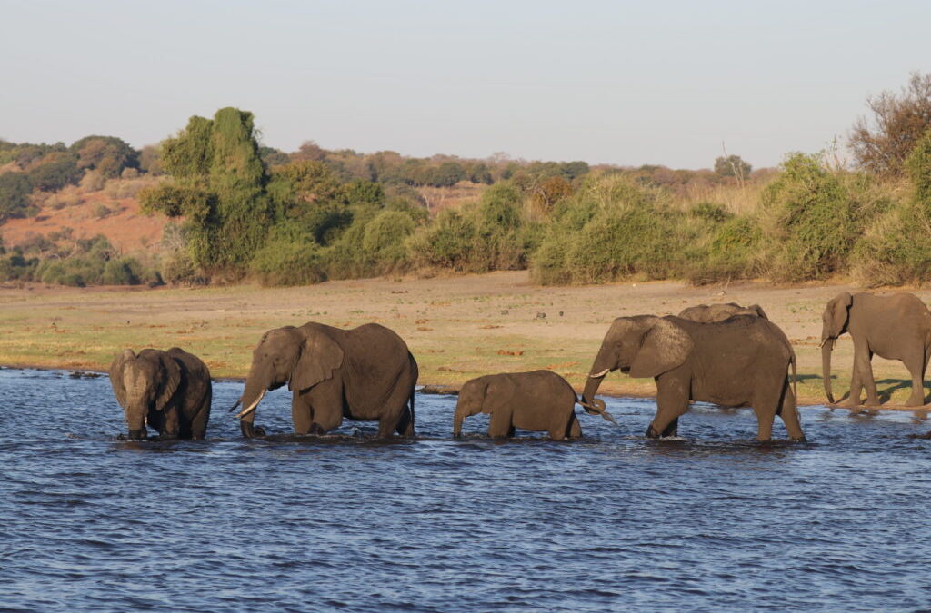 Self Drive Safari Botswana Chobe 4x4