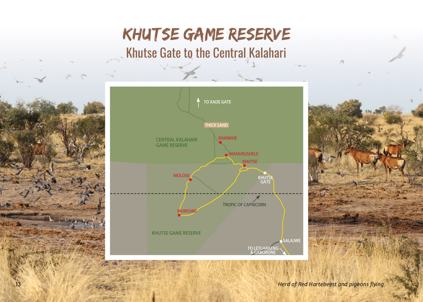 Khutse Game Reserve Chobe 4X4 Self Drive Safari Explore Botswana