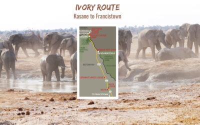 Ivory Route