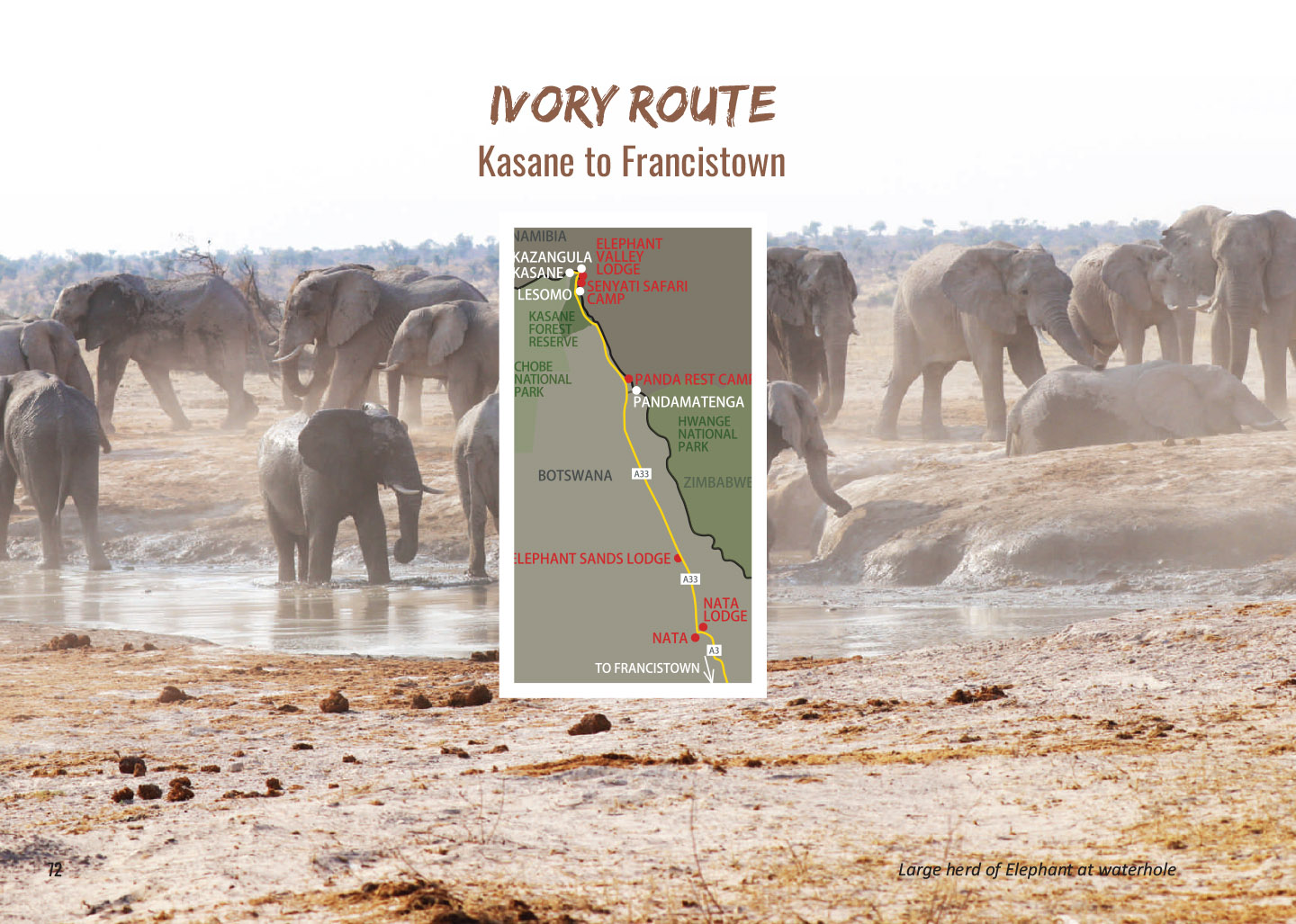 Ivory Route