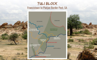 Tuli Block