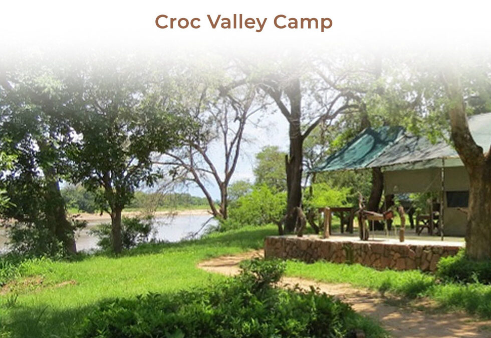 Croc Valley Camp