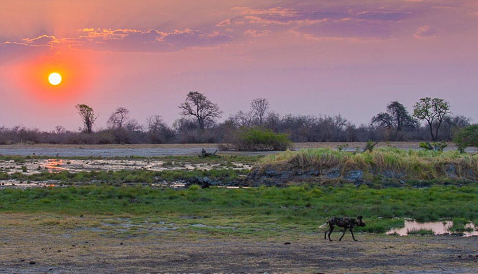 South Luangwa National Park Zambia
