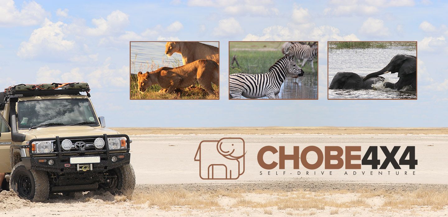 Chobe4X4 Self Drive Explore Africa